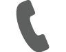 phoneIcon